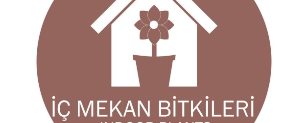 NVP – 10NVP