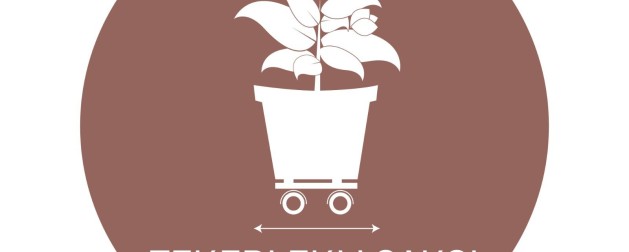 NVP – 10NVP